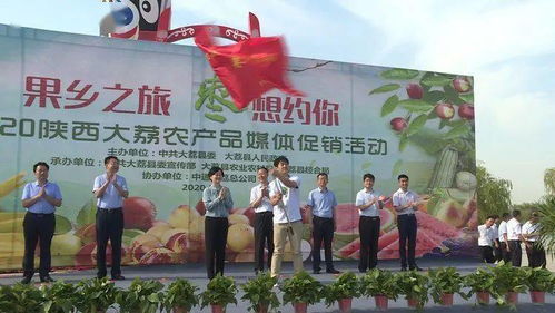 果鄉之旅，“棗”想約你——2020陜西大荔農產品媒體促銷活動正式啟動