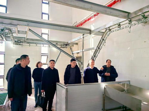 浙江省畜牧農機發展中心赴寧海檢查家畜定點屠宰廠GMP建設情況